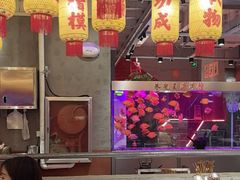 -朱光玉火锅馆(正弘城店)