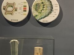 -浙江自然博物院(杭州馆)