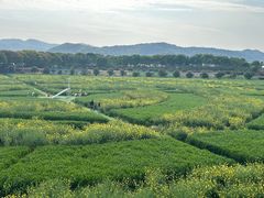 -苏州太湖西山岛开心农场