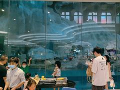 -帝企鹅自助餐厅•儿童岛•真企鹅(长隆企鹅酒店)