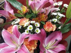 -花草间花行(法华镇路店)