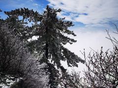 -华山风景名胜区