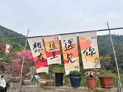 -四明山国家森林公园