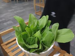 -大自然醉鹅·铁锅火焰鹅(上海联洋店)