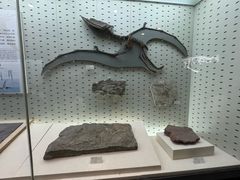 -浙江自然博物院(杭州馆)