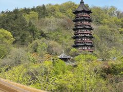 -牛首山文化旅游区