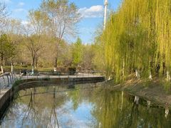 -长白岛森林公园