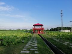 -嘉北郊野公园