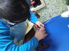 -瑞鹏宠物医院·微创内窥镜·骨外科·牙科(翠竹分院)