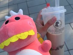 -朝阳公园游乐园