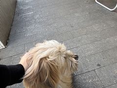 -Cafe del Volcan(永康路店)