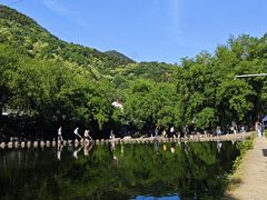 -鹿亭中村