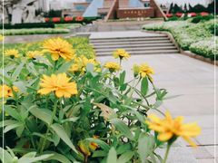 -上海市龙华烈士陵园