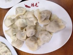 -鸿毛饺子(紫竹桥店)