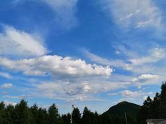 -白草畔自然风景区