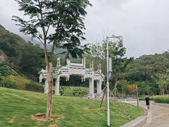 -梧桐山风景名胜区