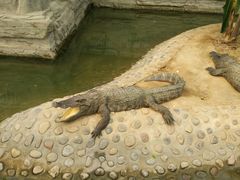 -石家庄市动物园