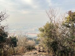 -杭州半山国家森林公园