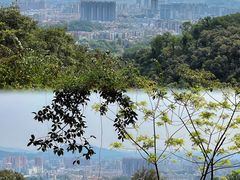 -点都德(广州白云山景区南门店)