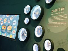 -中国湿地博物馆