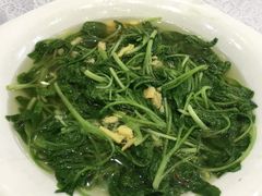 春菜苗-盆满钵满·国家非遗传承(云台店)