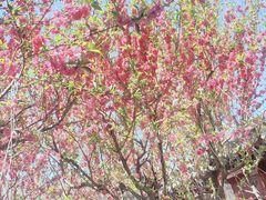 -李叔同故居纪念馆