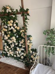 -小矮人专业儿童摄影(宜家店)