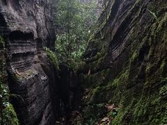 -梭布垭石林景区