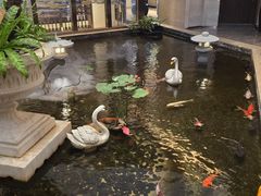-白天鹅宾馆·流浮阁咖啡厅