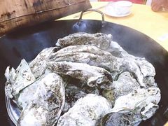 -蚝专家(北滘店)