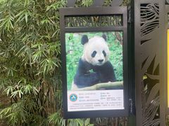 -成都动物园