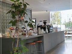 -爱樂咖啡(青年体育公园店)