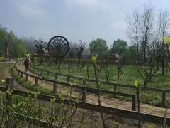 -溱湖国家湿地公园