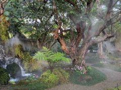 -Chom Cafe and Restaurant