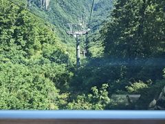 -牛背梁国家森林公园