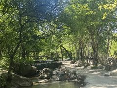 -玉渡山自然风景区