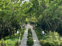 -深圳龙潭公园