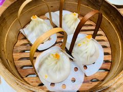 -龍堂蟹黄小笼包(德思勤四季汇店)