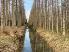 -东平国家森林公园