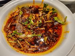-辛香汇·锦里丨现炒川菜(中南城店)