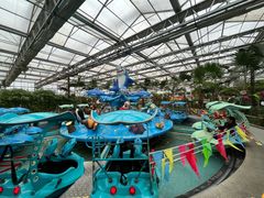 -南宫五洲植物乐园