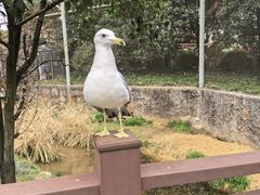 -杭州野生动物世界