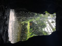 iphone_upload_pic-西安世博园