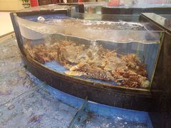 -小榄人家酒楼(民安店)