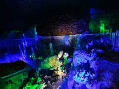 -中国湿地博物馆