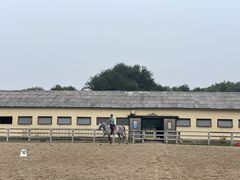 -北京群众马术培训基地