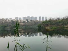 -重庆彩云湖湿地公园