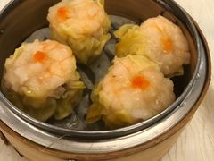 烧买-乙龍天