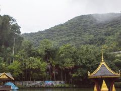 -西双版纳原始森林公园