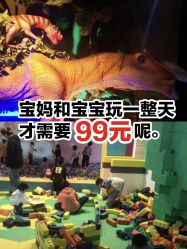 -恐龙探索乐园(磁器口店)